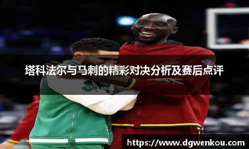 星空.综合体育