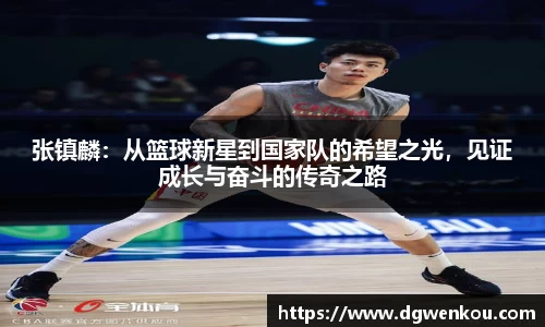 星空.综合体育官网