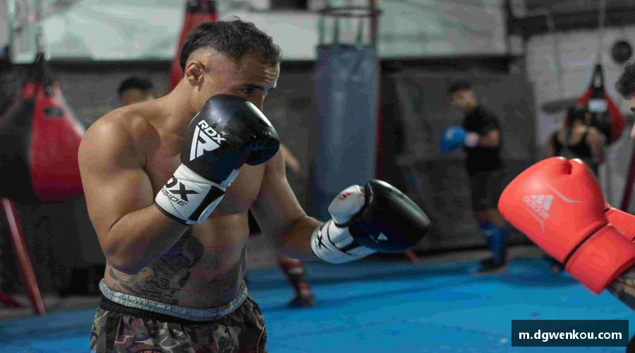 星空综合中国官方网站爱上运动，享受生活